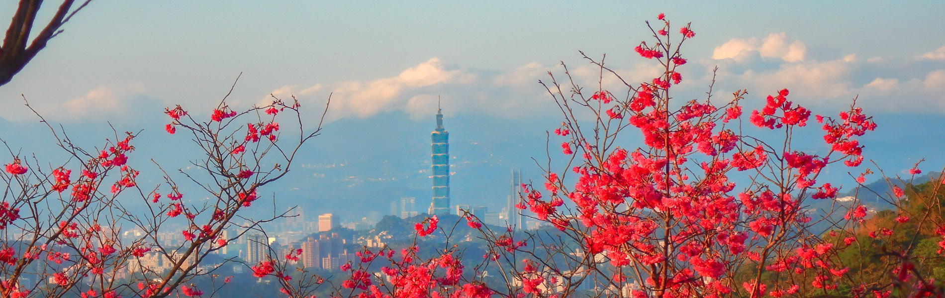 台湾の風景